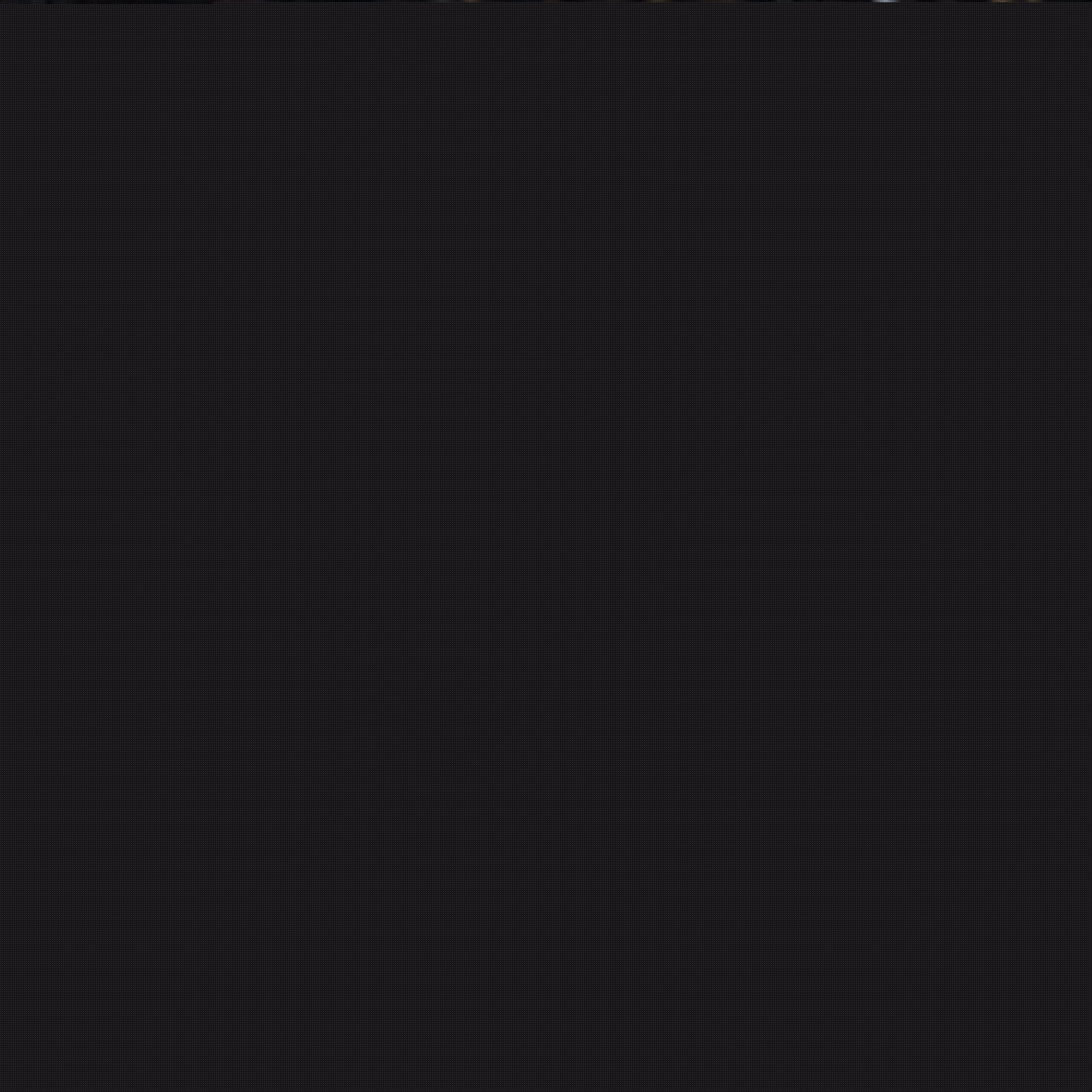 每年的焦点